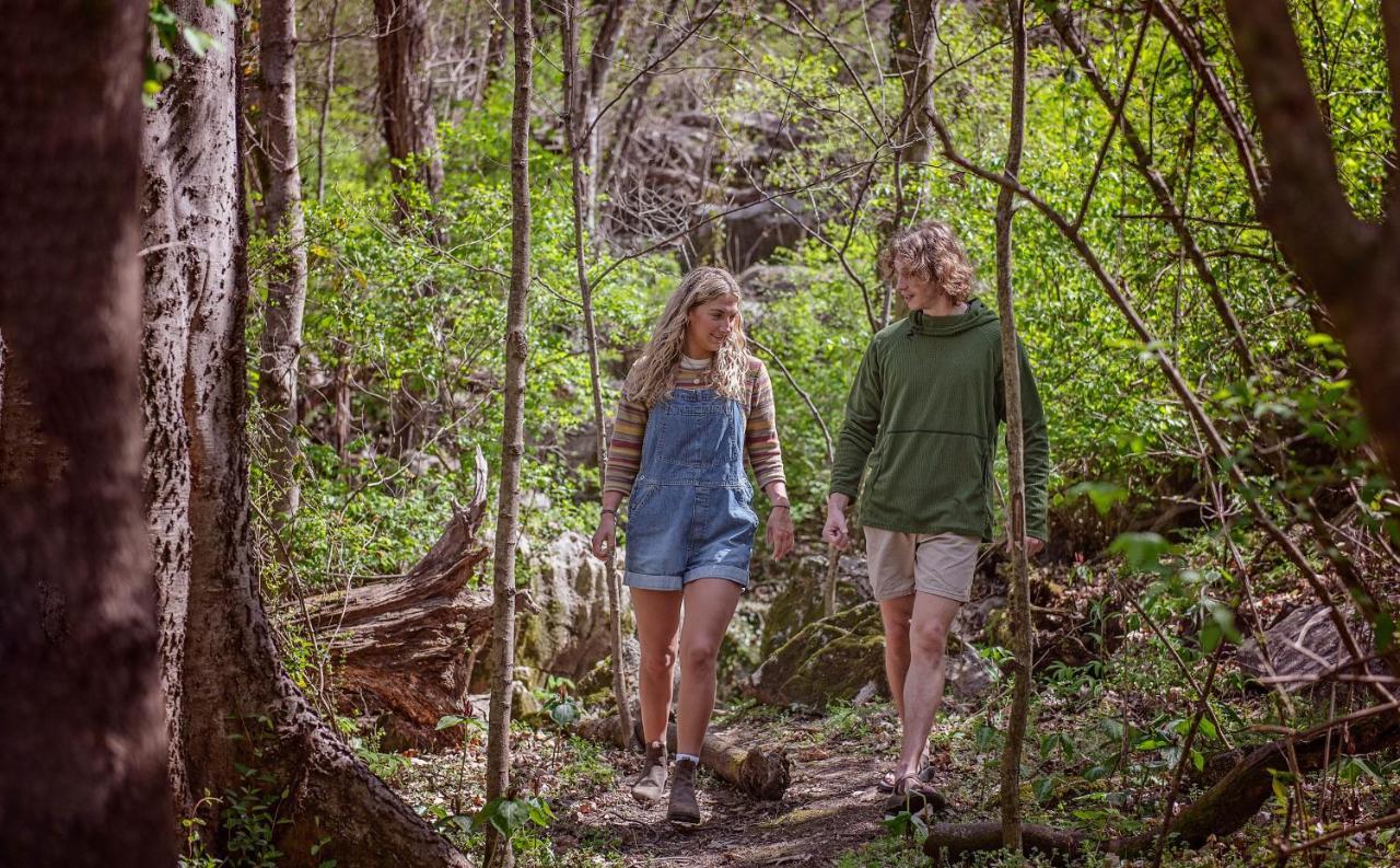 Eden Cabin Forested Tiny Home On Lookout Mtn Чатануга Екстериор снимка
