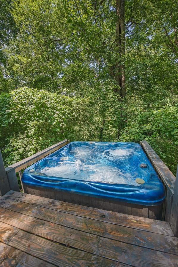 Eden Cabin Forested Tiny Home On Lookout Mtn Чатануга Екстериор снимка